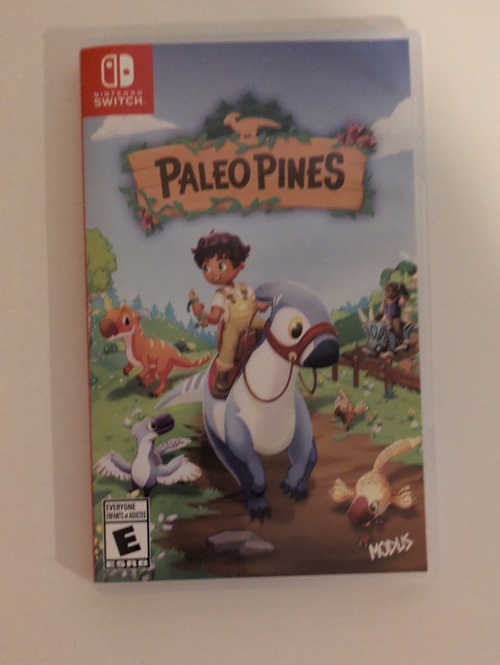 Nintendo Pale o Pines - Blue, White, Green Cover